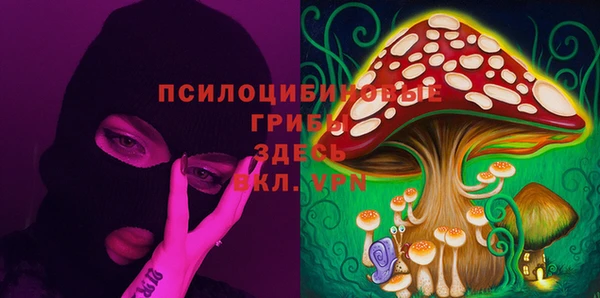 экстази Покачи