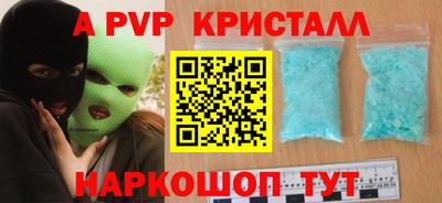 СК Гатчина