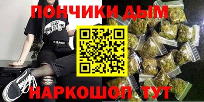 СК Гатчина