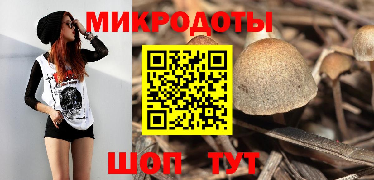 Псилоцибиновые грибы Psilocybe  Корсаков  Псилоцибиновые грибы MAGIC MUSHROOMS 