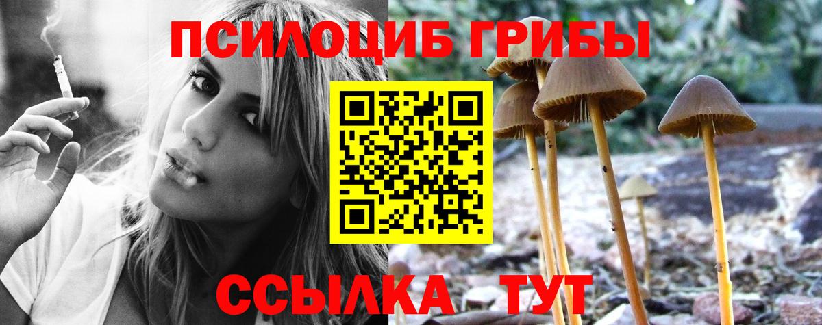 Псилоцибиновые грибы ЛСД Корсаков