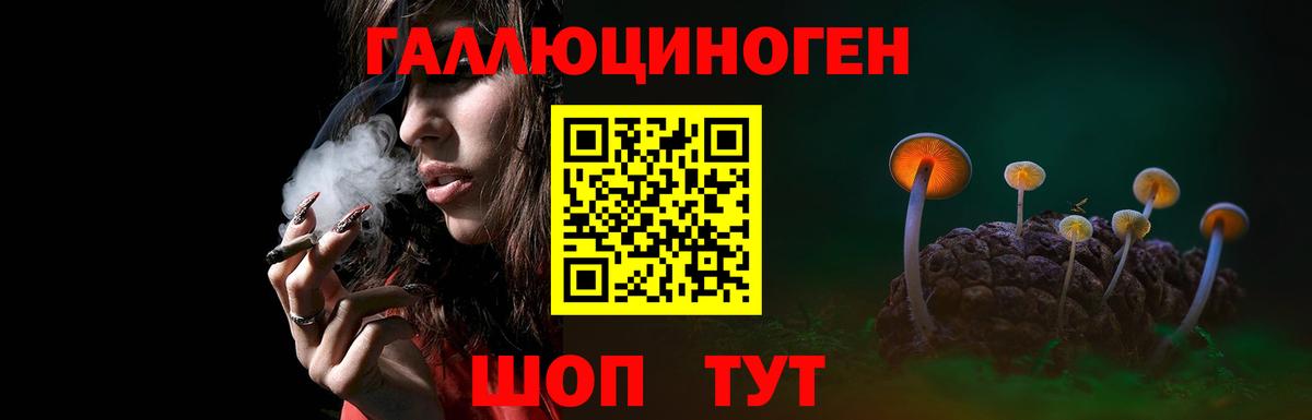 Галлюциногенные грибы Psilocybine cubensis  Вход с VPN  Галлюциногенные грибы GOLDEN TEACHER  Корсаков 